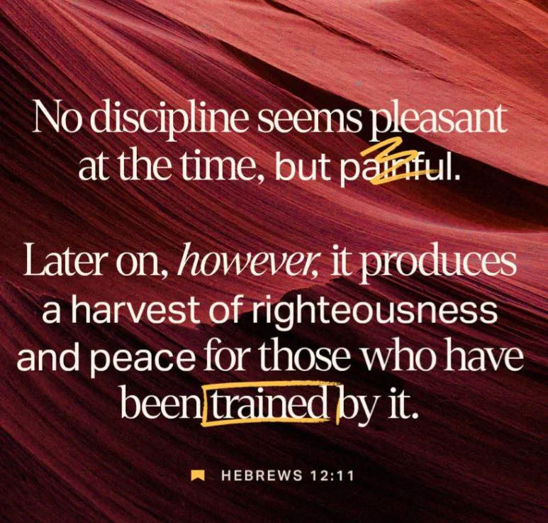 Photo by Abby Odiamar-Paclibar on February 18, 2026. May be an image of text that says 'No discipline seems pleasant at the time, but painful. Later on, however, it produces a harvest of righteousness and peace for those who have been trained by it. HEBREWS 12:11'.