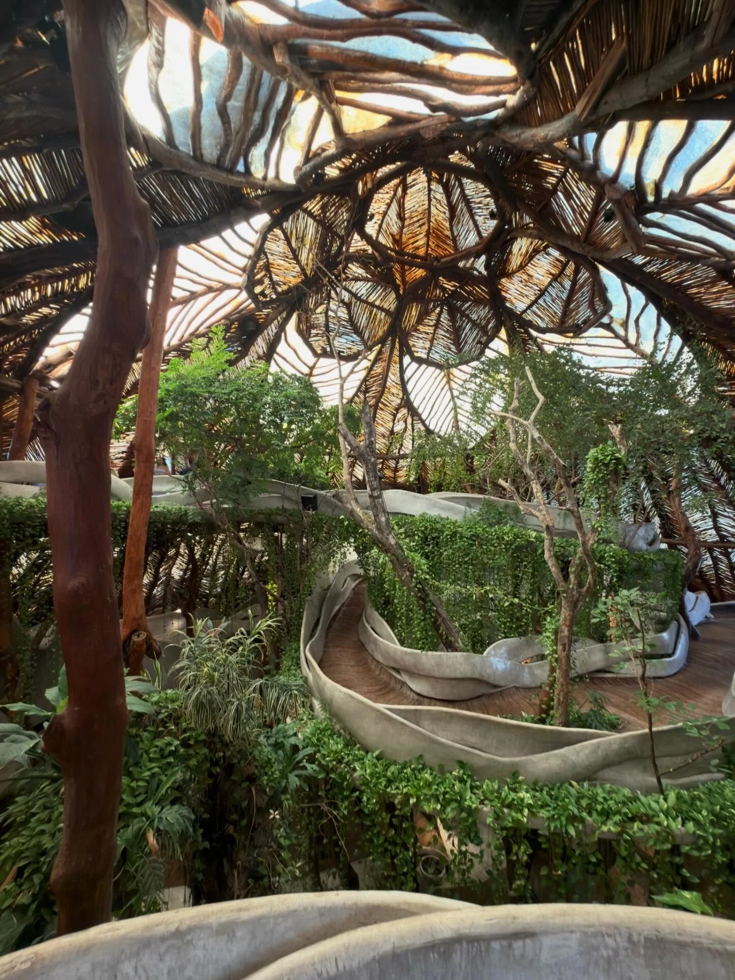 Photo by Alexandra on February 21, 2026. May be an image of tree and text.