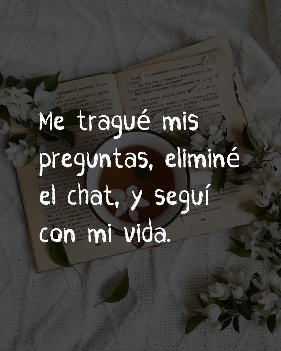 Photo by ILUSTRACIONES - DIBUJOS on March 10, 2026. May be a meme of text that says 'Me tragué mis preguntas, eliminé el chat, y seguí con mi vida.'.