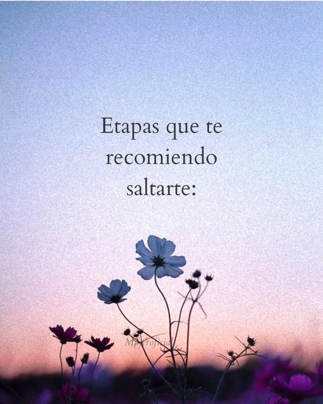 Photo by ILUSTRACIONES - DIBUJOS on March 24, 2026. May be a meme of text that says 'Etapas que recomiendo saltarte: Μηαταμίa'.